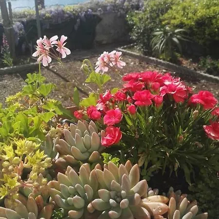 Bed & Breakfast Maison De Revel 4*